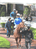 Au rond de pr&eacute;sentation &agrave; Longchamp